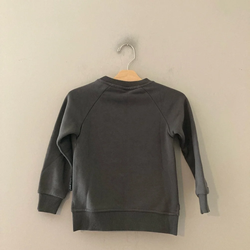 $23 ADD ON little bipsy new with‎ tags hoodie cotton on kids hanna andersson